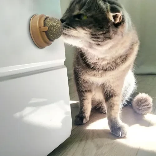 Kedi Nanesi Oyun Topu - Resim 3