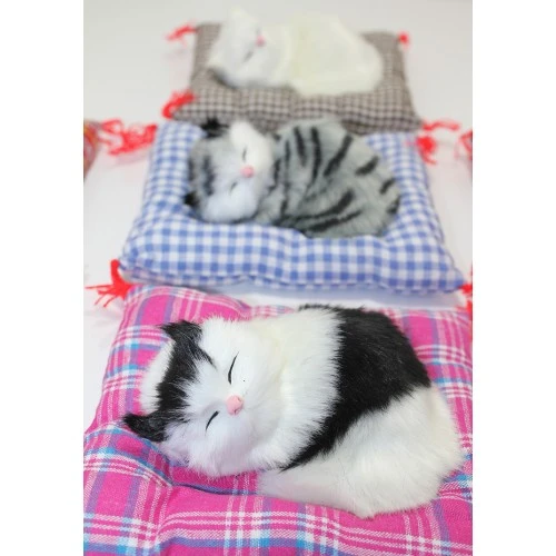 Yastıkta Uyuyan Kedi Sesli - Resim 2