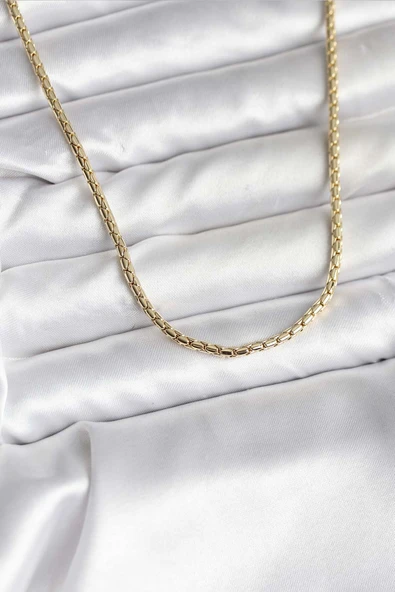 14K Gold Renk Kaplama Zincir Model CM Kadın Kolye ürün görseli 1
