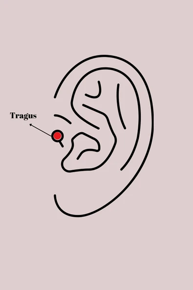 316L Çelik Gümüş Renk Renkli Zirkon Taşlı Yıldız Model Tragus Piercing -1492 ürün görseli 1