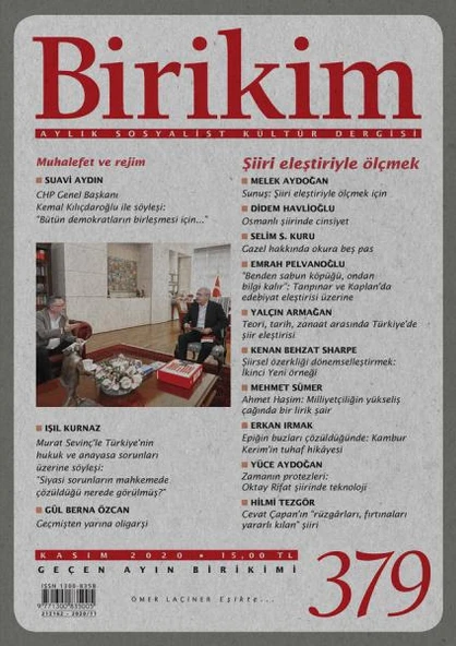 Birikim 379 Kasım 2020 ürün görseli 1