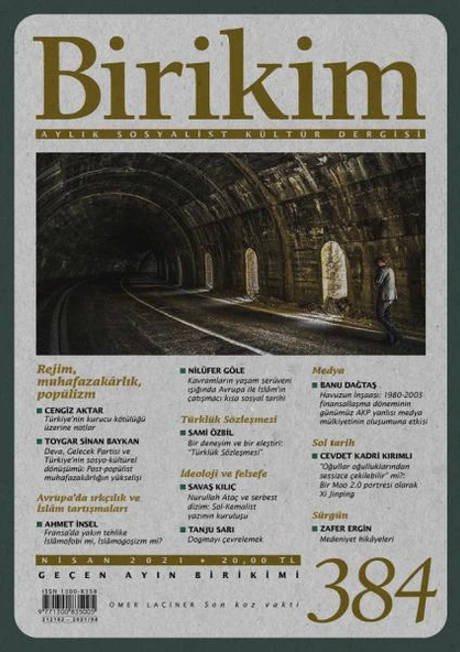Birikim 384 Nisan 2021 ürün görseli 1