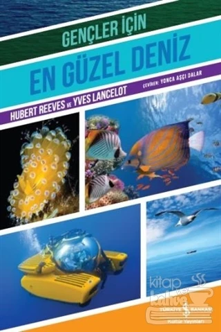 Gençler İçin En Güzel Deniz ürün görseli 1