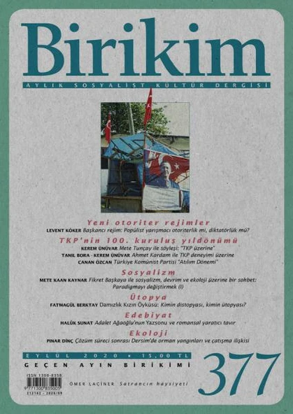 Birikim 377 Eylül 2020 ürün görseli 1