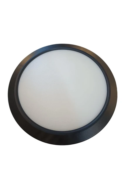 30W S/Ü OVAL BACKLIGHT PANEL LED ANTR. KASA 3000K ürün görseli 1