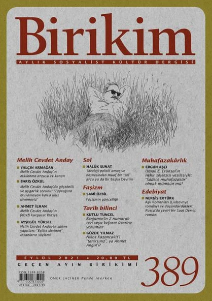 Birikim 389 Eylül 2021 ürün görseli 1