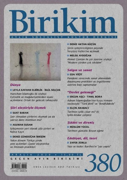 Birikim 380 Aralık 2020 ürün görseli 1