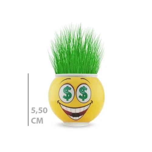 Çim Adam Saksı Emoji Figürlü 1 Adet - Resim 3