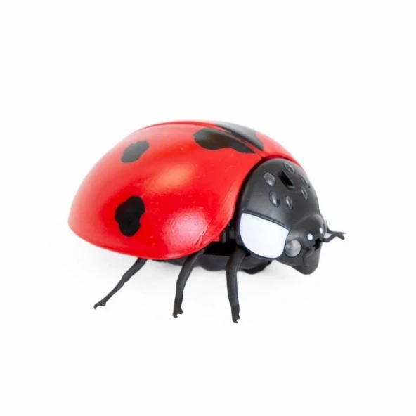 Oyuncak Işıklı Uğurböceği - Resim 2