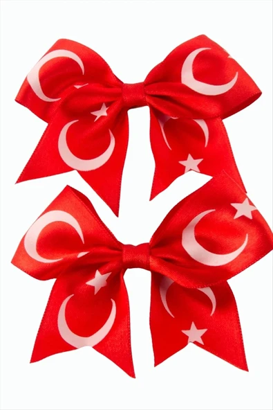 Ay Yıldız Fiyong Pens Toka 2 Adet ürün görseli 1
