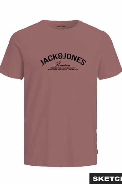 Jack Jones Blatommy Erkek Tişört 12302470 ürün görseli 1