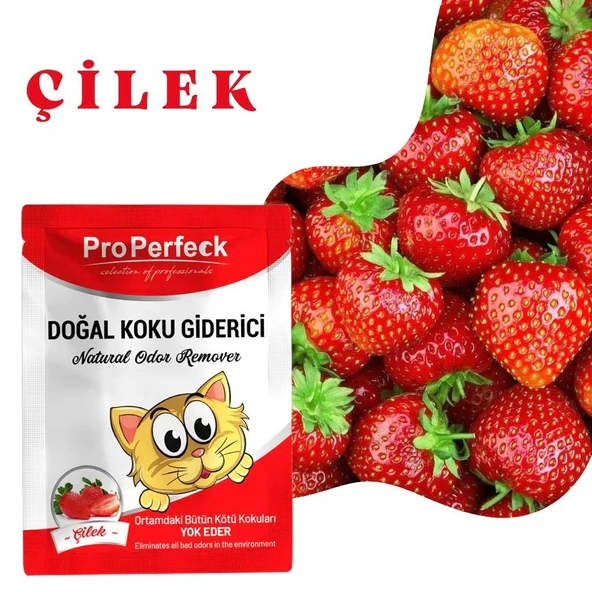 Pro Perfeck Çilek Kokulu Koku Giderici 25 gr ürün görseli 1