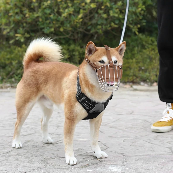 Karamel Pet Metal Deri Köpek Ağızlığı S 30 cm ürün görseli 1