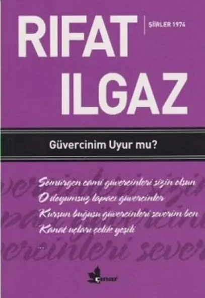 Güvercinim Uyur mu ? ürün görseli 1
