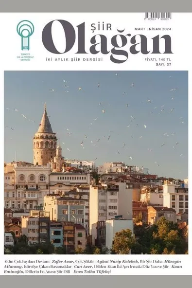 Olağan Şiir (37. Sayı) ürün görseli 1