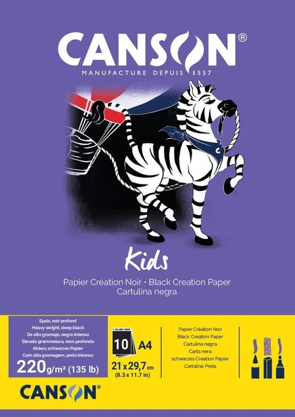 Canson 400015602 Hobi, Renkli Kağıt, A4, Siyah ürün görseli 1