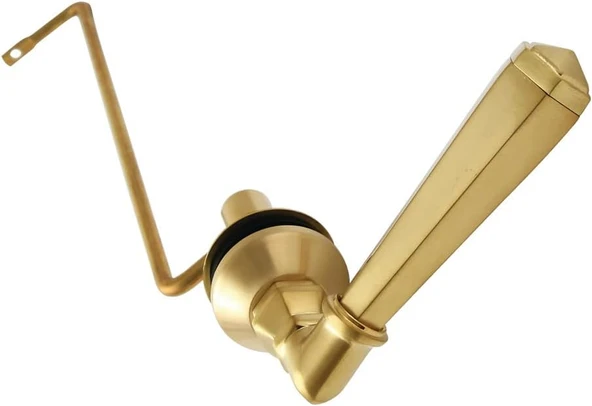 Brass Kthls7 Metropolitan Yandan Montajlı Tuvalet Tankı Kolu, Fırçalanmış Pirinç ürün görseli 1