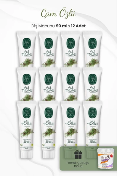 Çam Özlü Macunu 90 Ml X 12 Adet Kulak Çubuğu ürün görseli 1