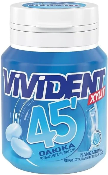 Vivident 45 Dakika Nane Aromalı Şekersiz-Tatlandırıcılı Draje Sakız Kutu 67G ürün görseli 1