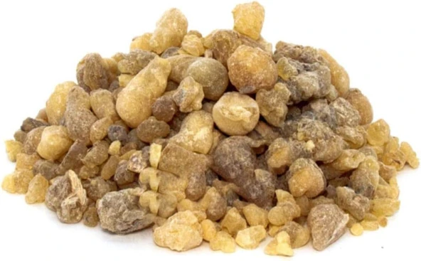 Aktarzane Akgünlük Günlük Sakızı 100Gr ürün görseli 1