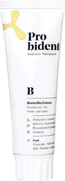 Probident Aktif Probiyotikli Florürsüz Akgünlük Özüt İlaveli Doğal Macunu 75Ml ürün görseli 1