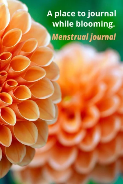 Independently Published Menstrual Journal ürün görseli 1