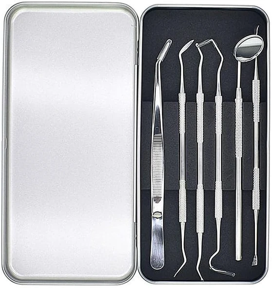 Valkyrie 6 Adet Metal Kutulu Paslanmaz Çelik Tartar Dil Temizleme Dental Ağız Bakım Seti ürün görseli 1