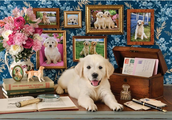 Anatolian Puzzle - Labrador / 500 Parça Puzzle, #3637 ürün görseli 1