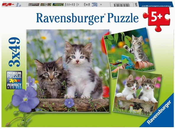 Ravensburger 3 X 49 Parça Puzzle Tiger Babies (80465) ürün görseli 1