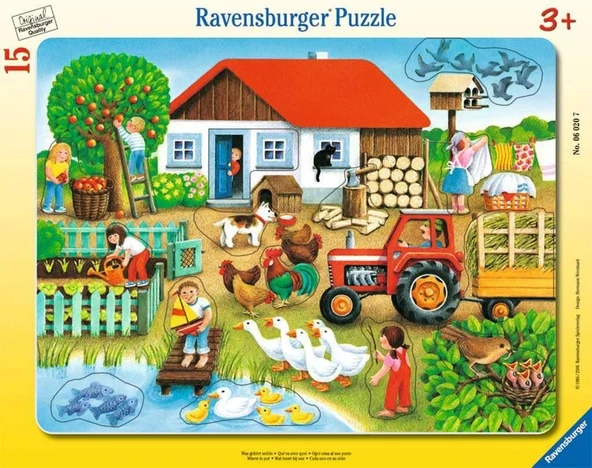 Ravensburger Büyük Çerçeveli 15 Parça "Nerede Olmalı?" Puzzle ürün görseli 1