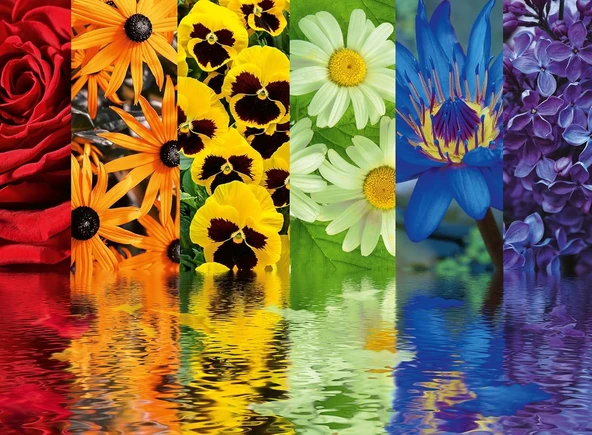 Ravensburger 164462 500 Parça Puzzle Çiçek Yansıma, Çok Renkli ürün görseli 1
