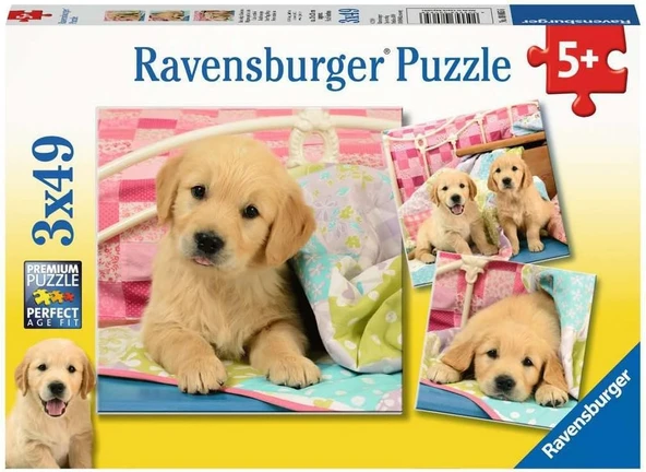Ravensburger 3X49 Parça Puzzle Puppies Renkli 3+ ürün görseli 1