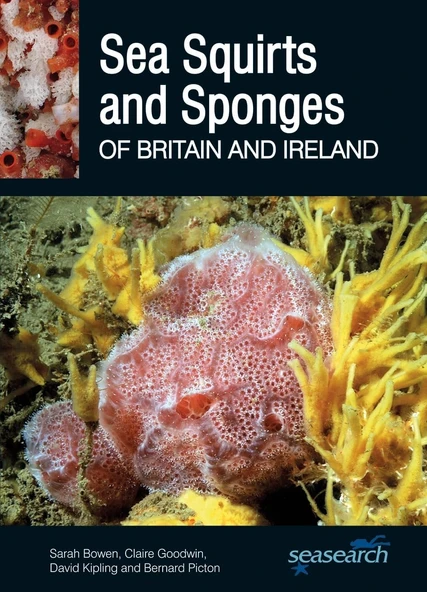 Sea Squirts And Sponges Of Britain And Ireland: 11 ürün görseli 1
