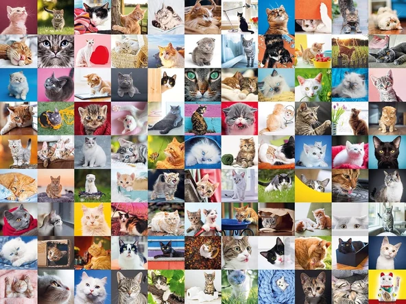 Ravensburger 1500 Parça Puzzle 99 ürün görseli 1