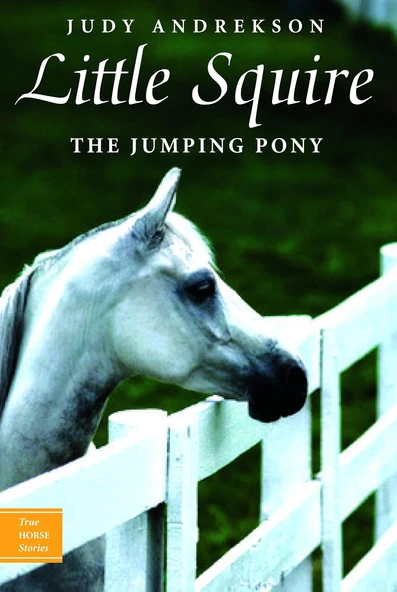 Little Squire: The Jumping Pony: 5 ürün görseli 1