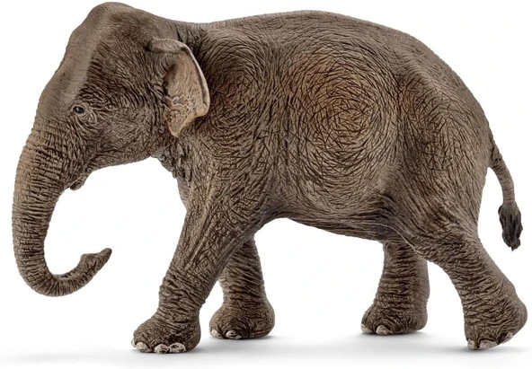 Schleich Dişi Asya Fili, Oyuncak Figür ürün görseli 1