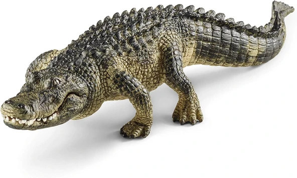 Schleich Amerikan Timsahı ürün görseli 1