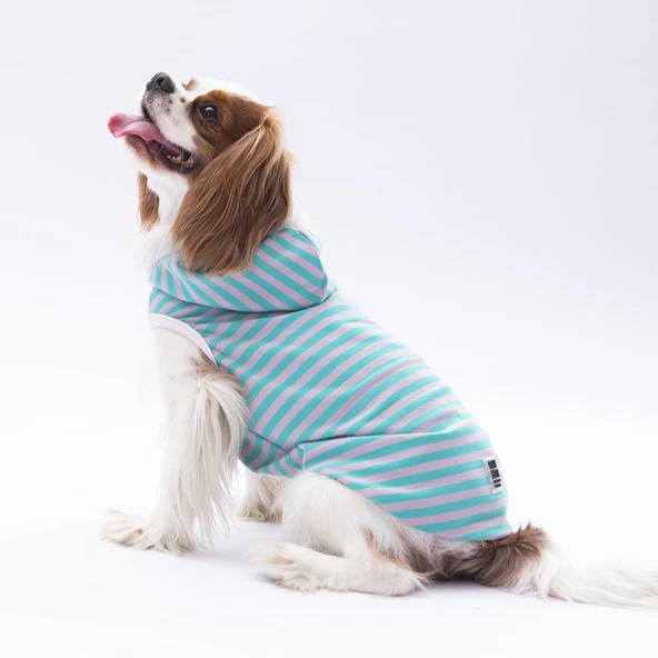 Pawstar Aqua Sunny Kapşonlu Tişört Large 30x33x46 cm ürün görseli 1
