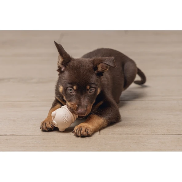 Beeztees Yavru Köpek Sumo Mını Dental Oyuncak Xs 3-6 kg ürün görseli 1