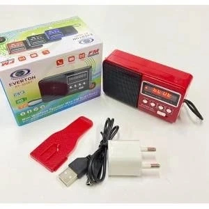Rt-303 Usb Ve Micro Kart Girişli Manuel El Radyosu ürün görseli 1