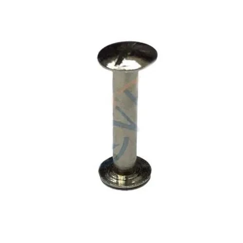 Cilt Menü, Katalog, Kartela Vidası, 20 Mm - Nikel, 1 Adet ürün görseli 1
