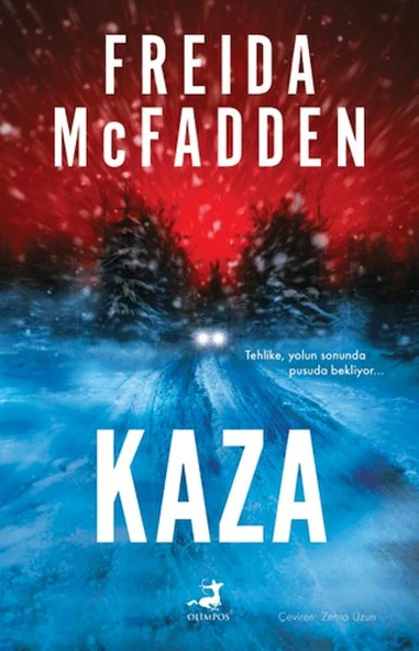 Kaza ürün görseli 1