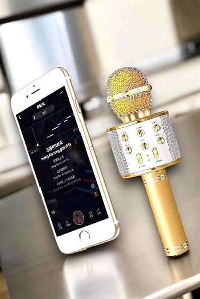 Şarjlı ve Uzun Pil Ömürlü Karaoke Mikrofon USB Bellek Destekli, Profesyonel Ses ürün görseli 1