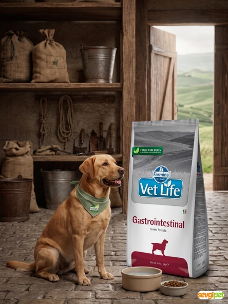 VTLFE Gastrointestinal Hassas Sindirim 1 Kg Açık Köpek Maması ürün görseli 1
