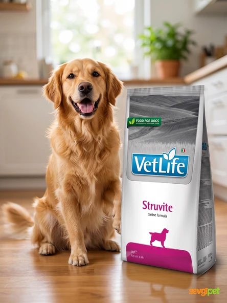 VTLFE Struvite Natural Adult 1 KG Açık Köpek Maması ürün görseli 1