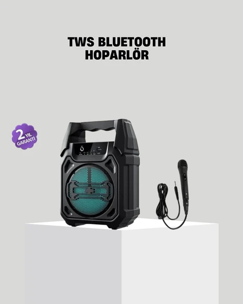 6.5 İnç Bluetooth Hoparlör Mikrofonlu Taşınabilir Karaoke ve Parti Sistemi ürün görseli 1