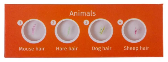 Levenhuk LabZZ C12 Canlılar Hazırlanmış Slayt Seti ürün görseli 1