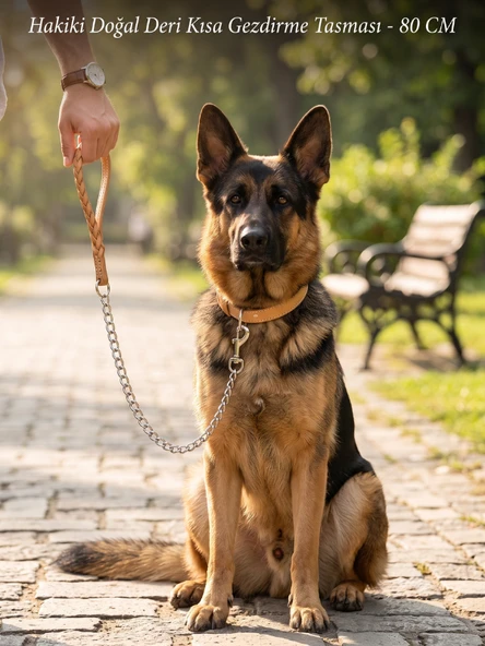 SVGPT Hakiki Doğal Deri Kısa Köpek Gezdirme Tasması - 80 CM ürün görseli 1