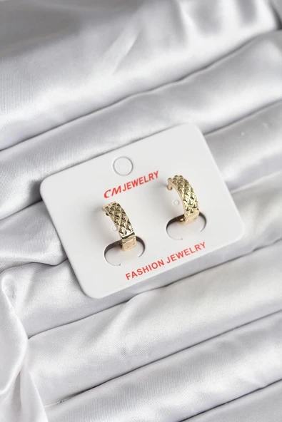 14K Gold Renk Kaplama CM Kadın KüpeEB-53-vice/(1395) 3483 ürün görseli 1