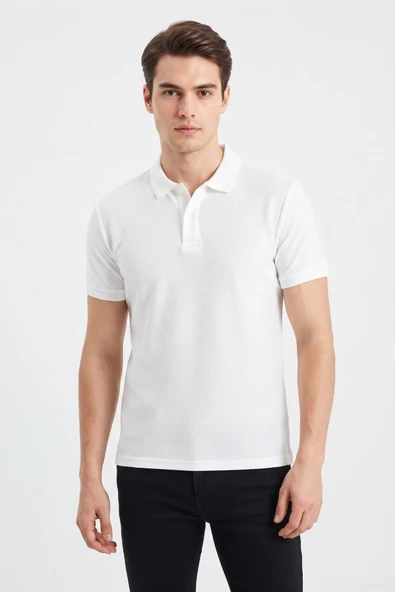 Erkek Polo Yaka Kısa Kollu Tişört Regular Kalıp 2610 BGL-ST05606 ürün görseli 1